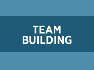 team building - TTI Success Insights Ireland