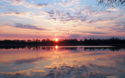 How to Live Life on Your Own Terms