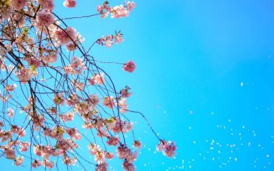 How to be resilient when the s**t hits the fan