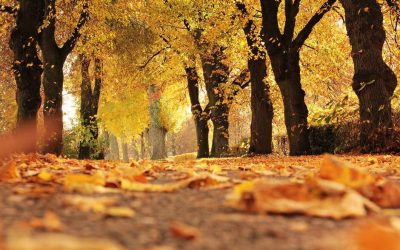 The importance of rest and integrity for success